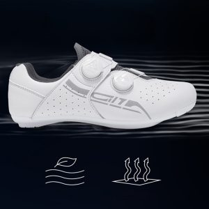 Insole and Inner Lining